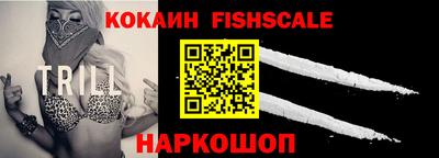 крисы Кулебаки