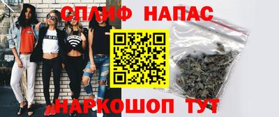 крисы Кулебаки
