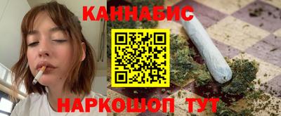 крисы Кулебаки