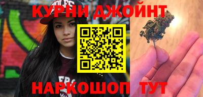 крисы Кулебаки