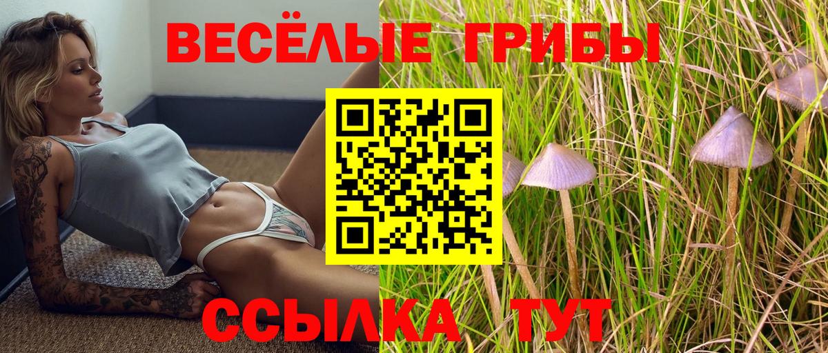 Галлюциногенные грибы Magic Shrooms  купить  цена  Псилоцибиновые грибы ЛСД  Джанкой  Вход с VPN 