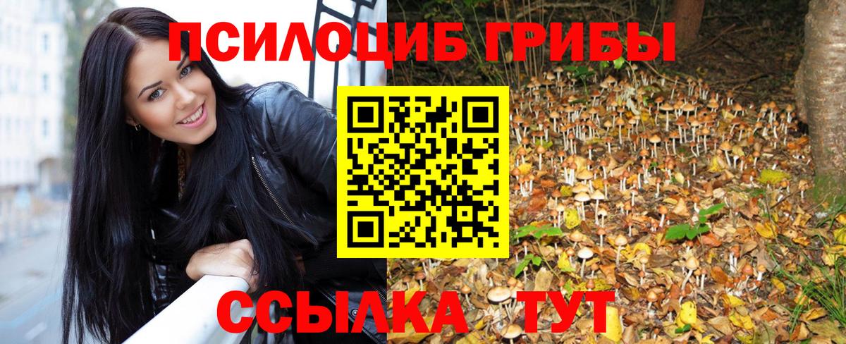Псилоцибиновые грибы мицелий Джанкой